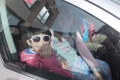 DSCF6929