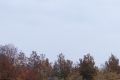 DSCF5764