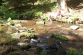 20170530_151649