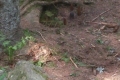 20170530_154715