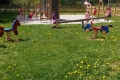 20170527_110925