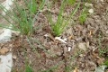IMG-20190402-WA0003