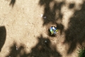 20160506_141717