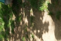 20160506_142345