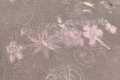 IMG-20250320-WA0018