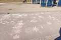 IMG-20250320-WA0019
