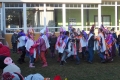 DSCF6519