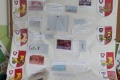 IMG_20221116_083038