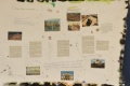 IMG_20221116_084738
