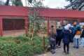 IMG-20241113-WA0001