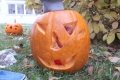 DSCF5707