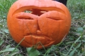 DSCF5708