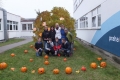 DSCF5722
