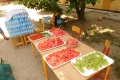 DSCN3149