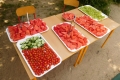 DSCN3150