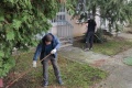 IMG_20250329_101144