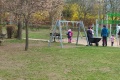 IMG_20250329_101247