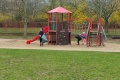 IMG_20250329_101251