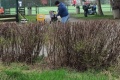 IMG_20250329_101417