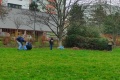 IMG_20250329_101538