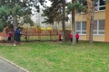 IMG_20250329_102051