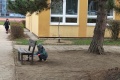 IMG_20250329_102201