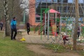IMG_20250329_102239