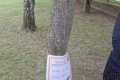 WhatsApp-Image-2026-05-20-at-14.47.45-2